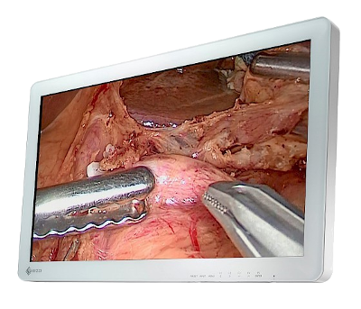 Monitor medyczny EIZO CuratOR EX2721