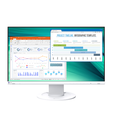 Monitor EIZO FlexScan EV2460 [biały]