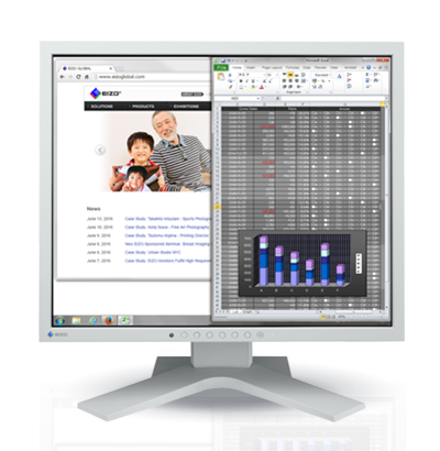 Monitor EIZO FlexScan S1934H [czarny]