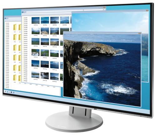 Monitor EIZO FlexScan EV2451 [biały]