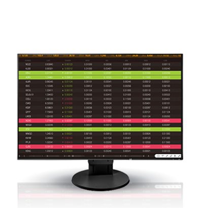 EIZO FlexScan EV2456