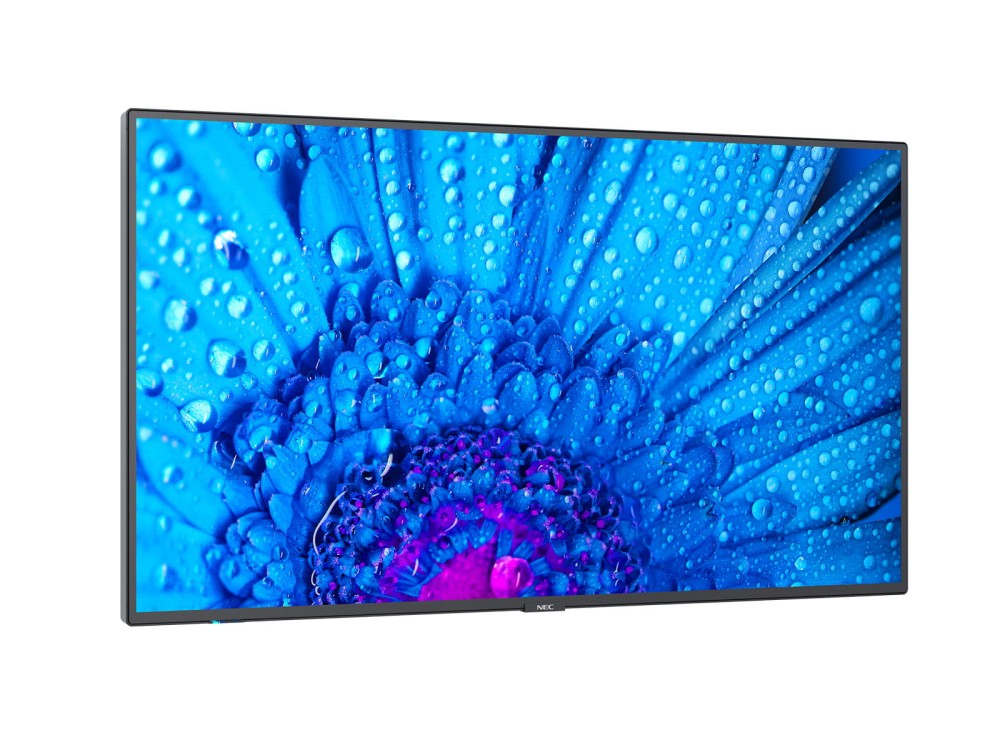 NEC MultiSync M651