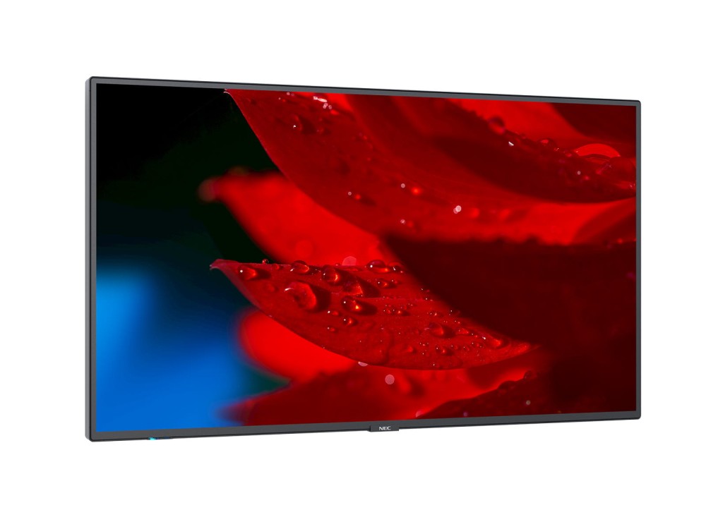 NEC MultiSync MA491