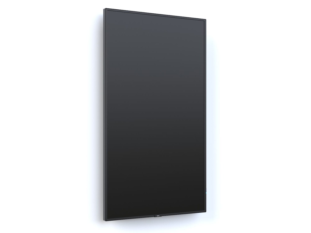 Monitor NEC MultiSync P495