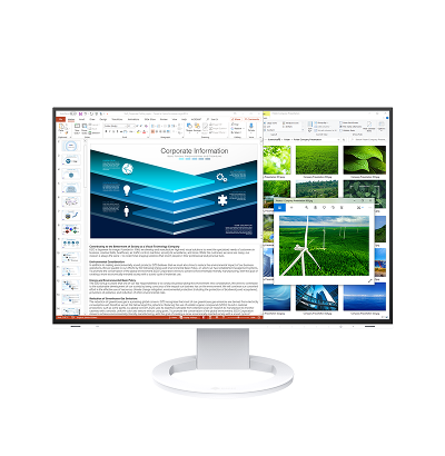 Monitor EIZO FlexScan EV2485