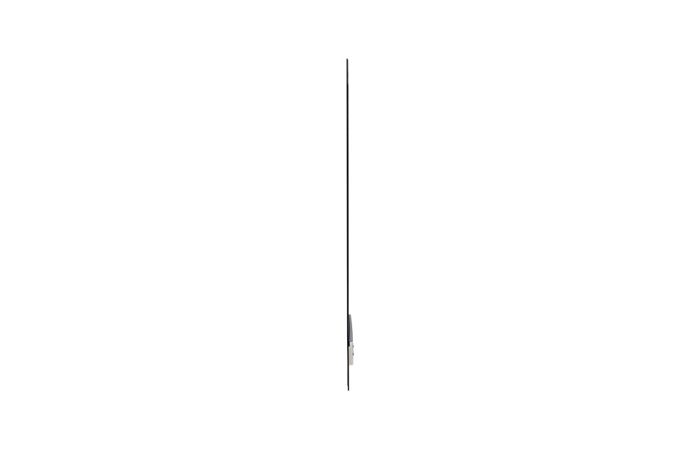 LG Transparent 55EW5G