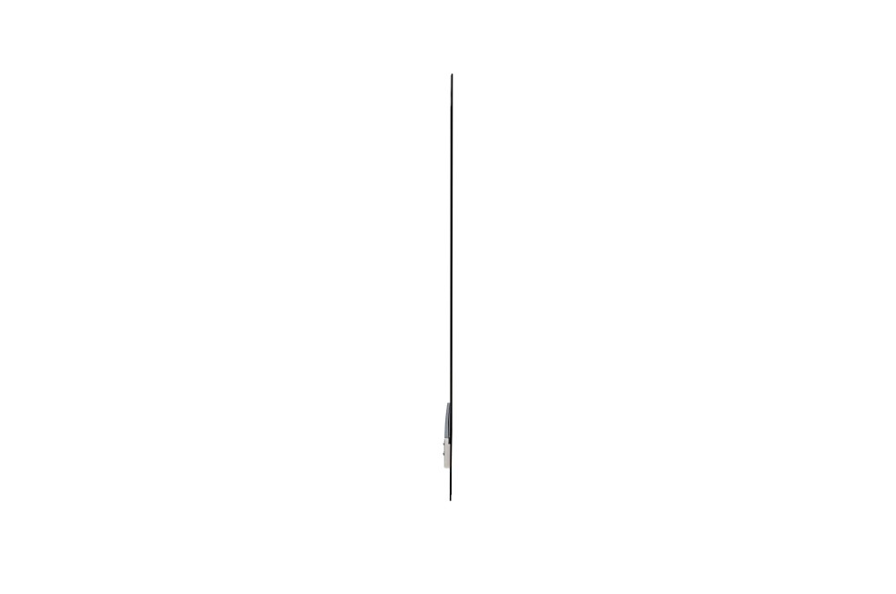 LG Transparent 55EW5G