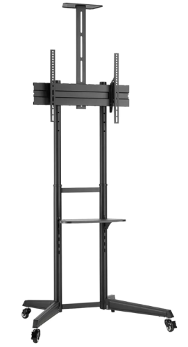 Statyw mobilny Neomounts FL50-550BL1