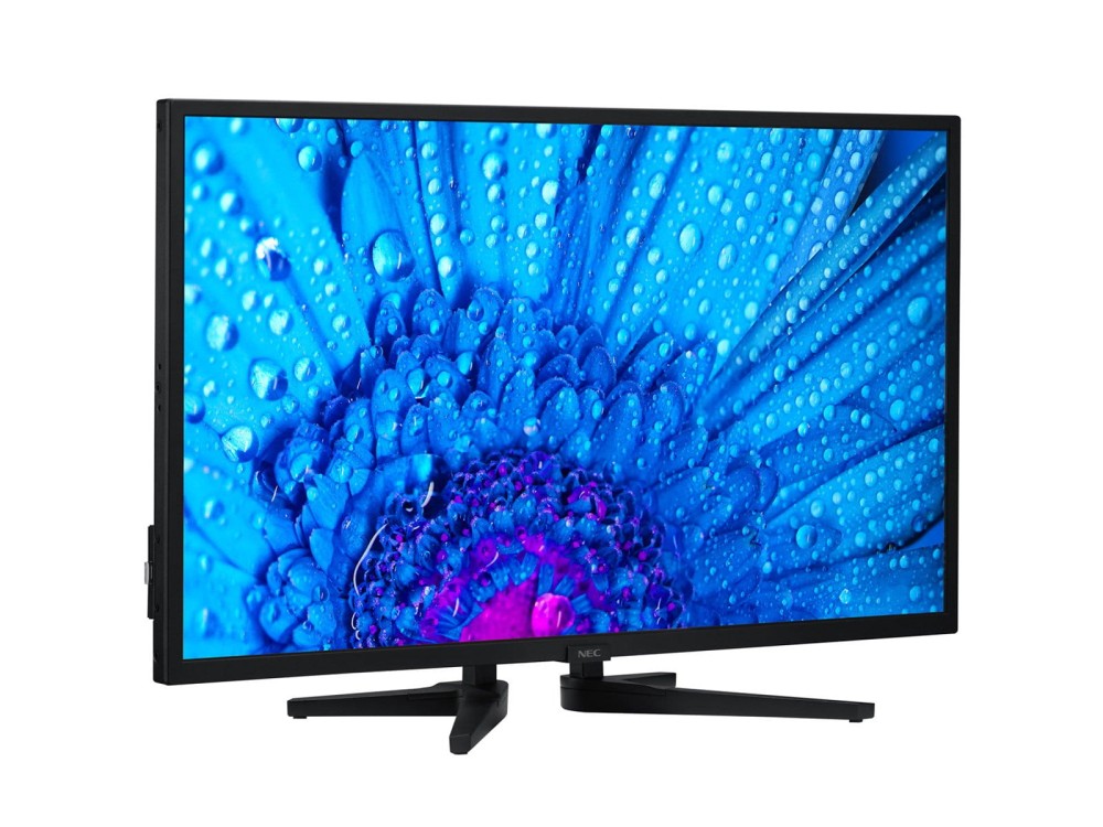 Monitor NEC MultiSync M321