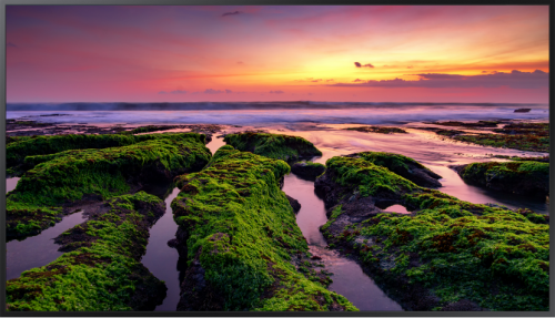 Monitor Samsung QB43B