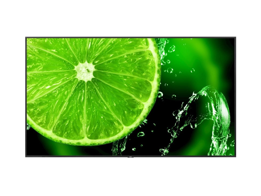 Monitor NEC MultiSync E868