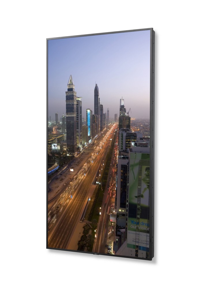 Monitor NEC MultiSync M751