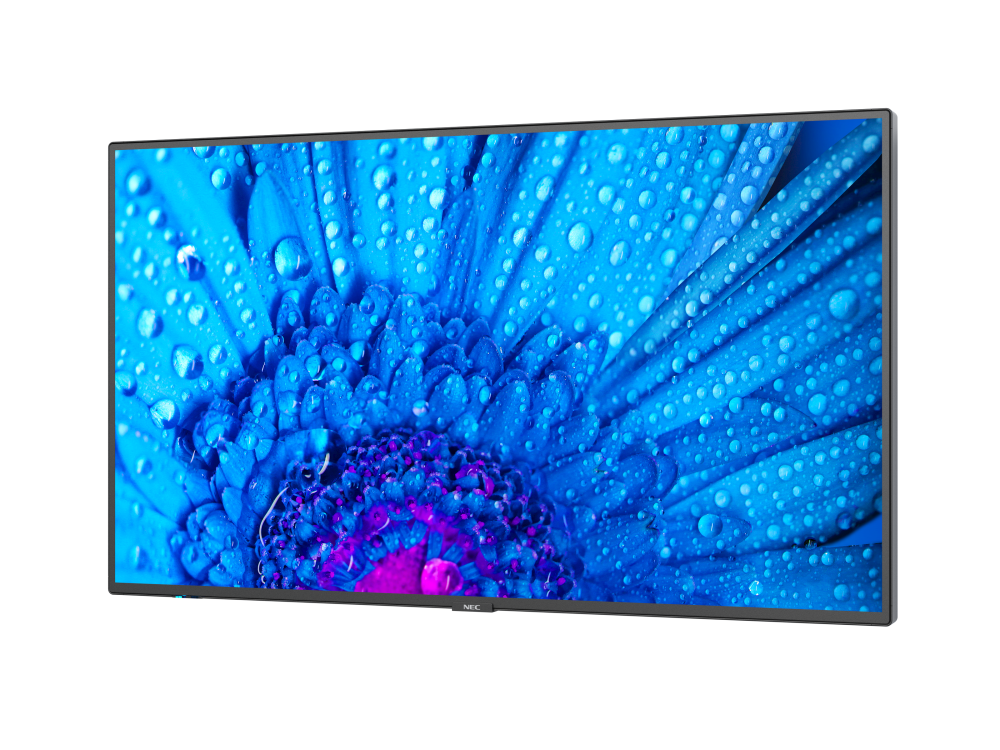 Monitor NEC MultiSync M751