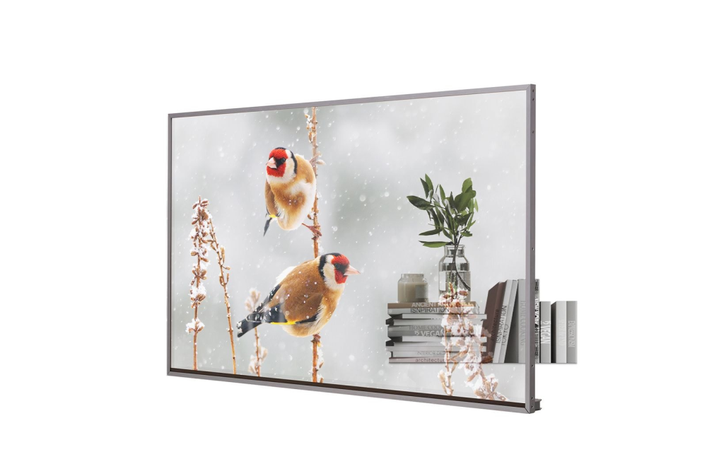 Monitor transparentny LG 55EW5P-M Transparent