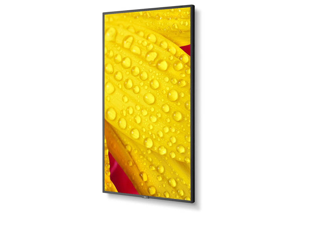 Monitor NEC MultiSync M431-2