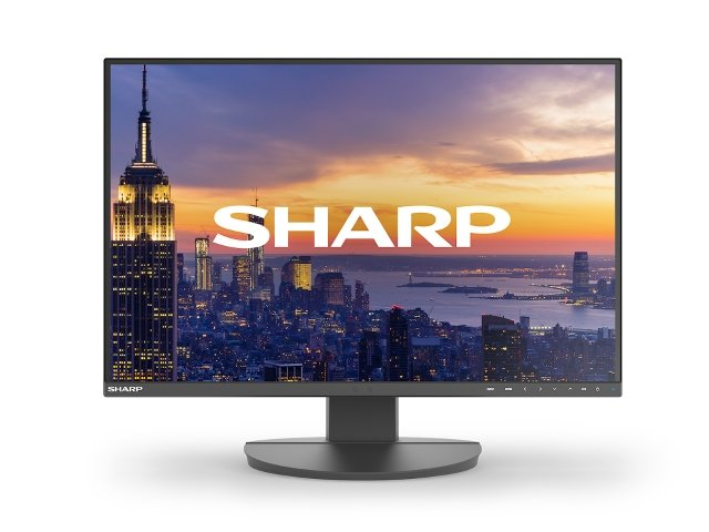 Monitor SHARP MultiSync EA242W [czarny]