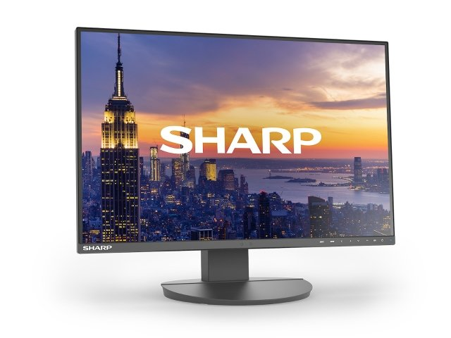 Monitor SHARP MultiSync EA242W [czarny]