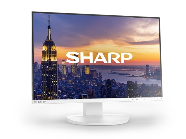 Monitor SHARP MultiSync EA242W [biały]