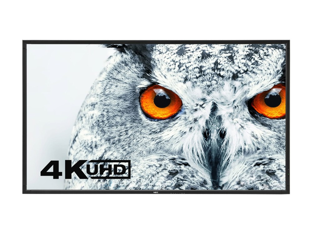 DisplayViewFrontBlack-Owl.jpg