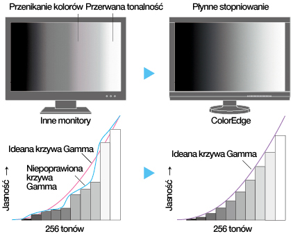 EIZO ColorEdge CG319X