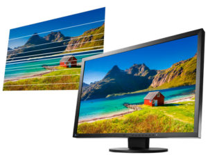 EIZO FlexScan EV2430