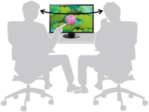 EIZO FlexScan EV2430