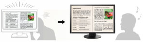 EIZO FlexScan EV2430