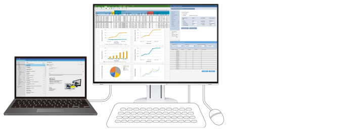 Monitor EIZO FlexScan EV2457