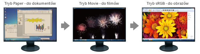 EIZO FlexScan EV3285 
