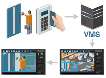 vms.jpg