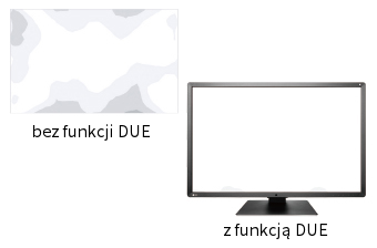 EIZO RadiForce RX660