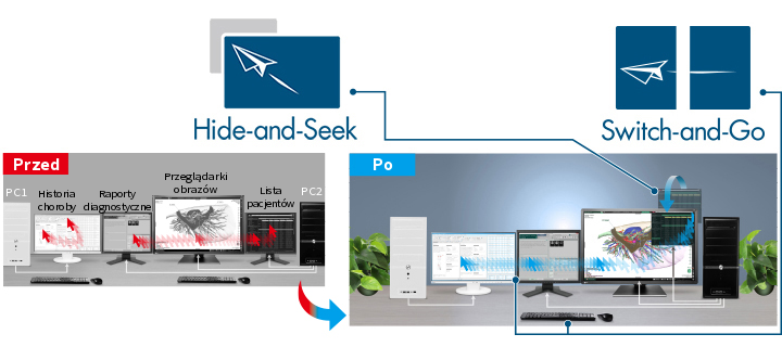 EIZO RadiForce RX660