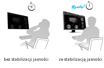 EIZO RadiForce RX660