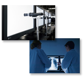 EIZO RadiForce RX660