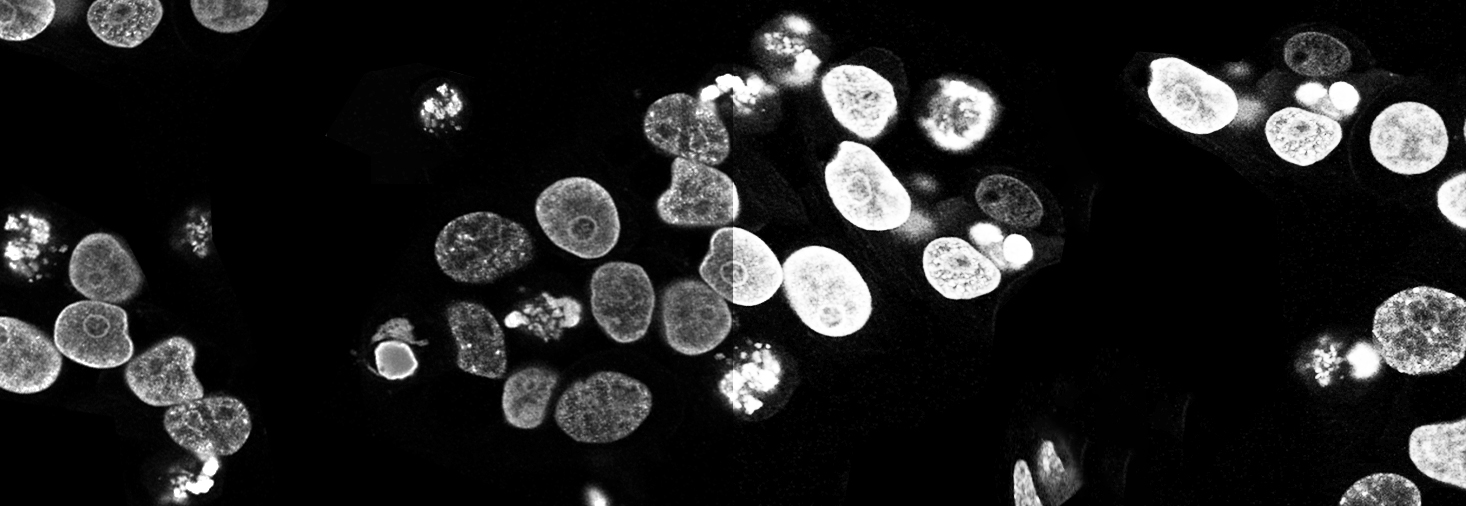 Monitor graficzny ASUS ProArt PA279CV