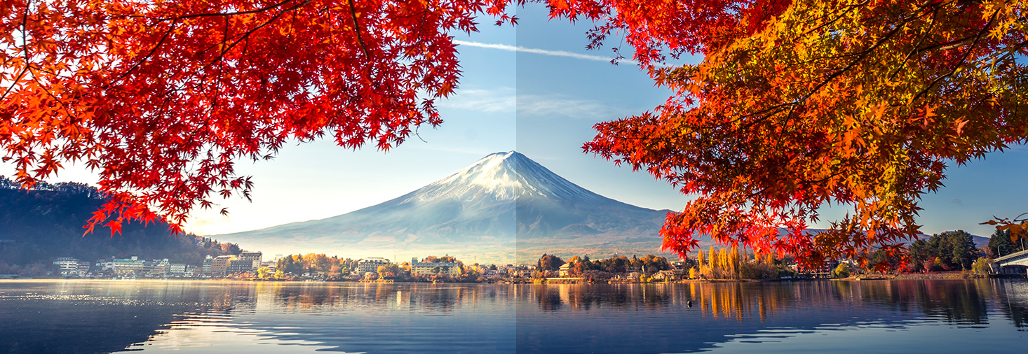 Monitor graficzny ASUS ProArt PA279CV