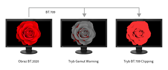 Monitor EIZO ColorEdge CG2700X