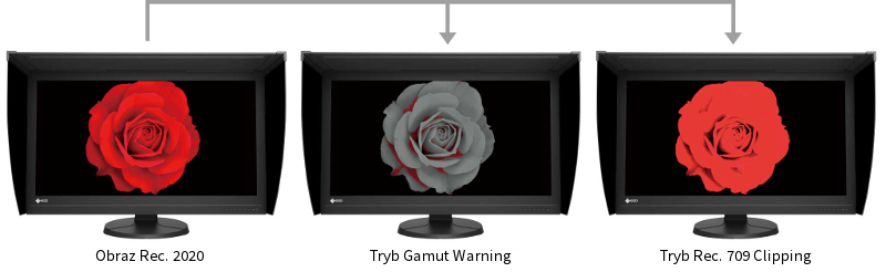 EIZO ColorEdge PROMINENCE CG3146
