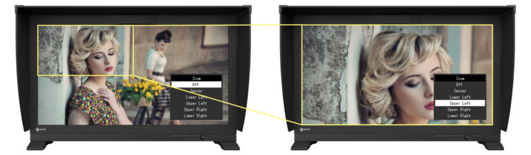 EIZO ColorEdge PROMINENCE CG3146