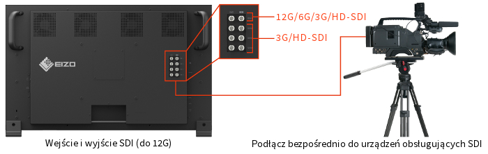 EIZO ColorEdge PROMINENCE CG3146