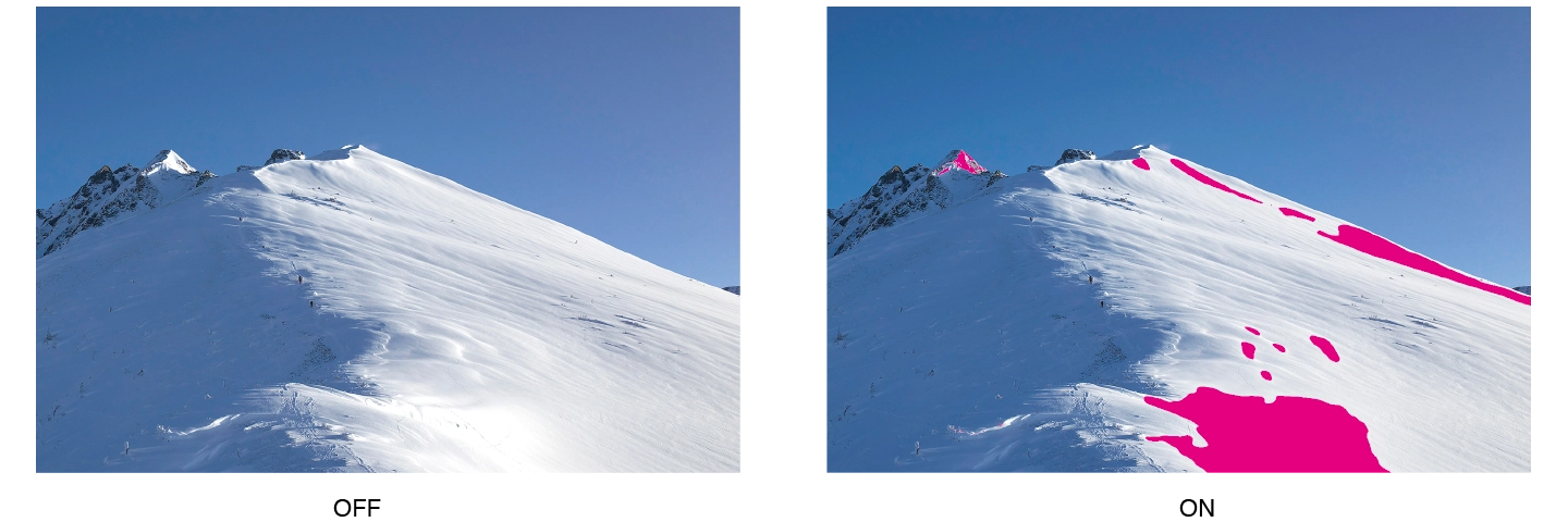 Monitor EIZO ColorEdge CG2400S 