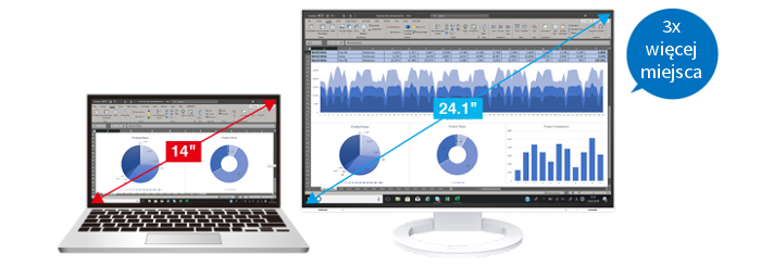 EIZO FlexScan EV2485