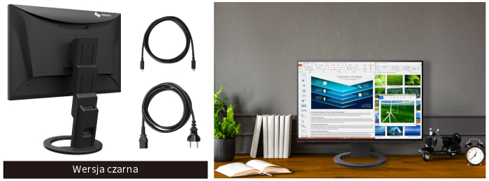 EIZO FlexScan EV2485