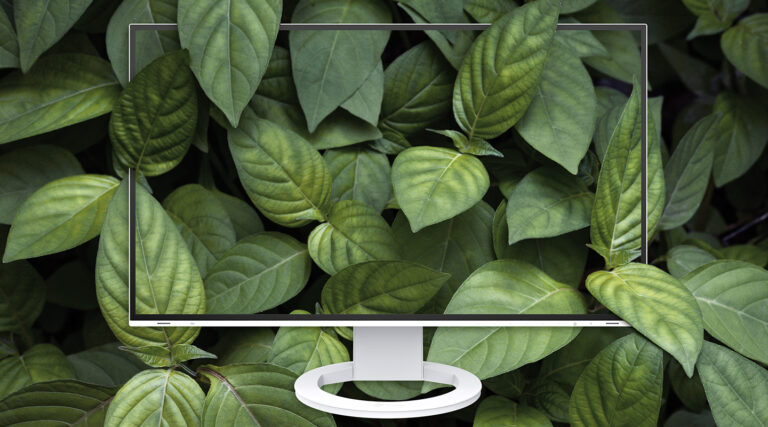 EIZO FlexScan EV2485