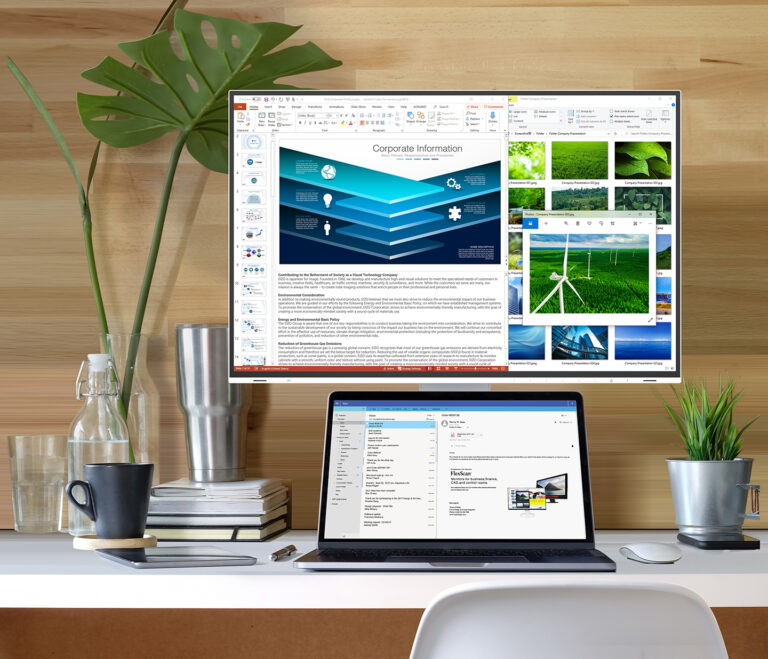 EIZO FlexScan EV2485