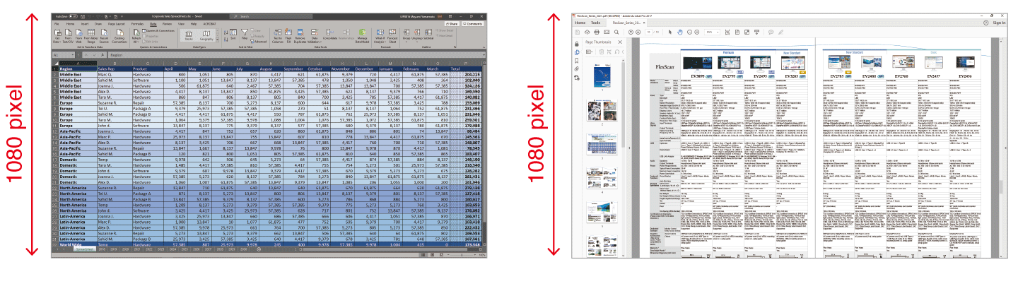 EIZO FlexScan EV2485