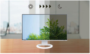 Monitor EIZO FlexScan EV2490