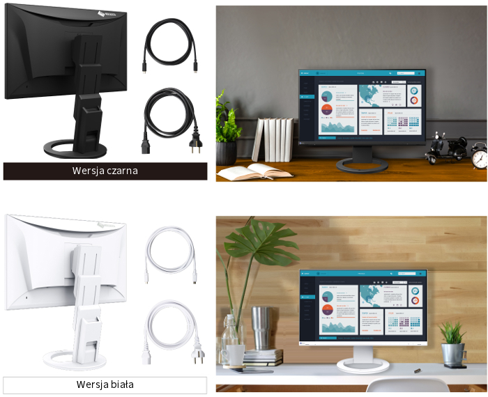 Monitor EIZO FlexScan EV2490