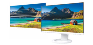 Monitor EIZO FlexScan EV2490