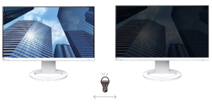 Monitor EIZO FlexScan EV2490